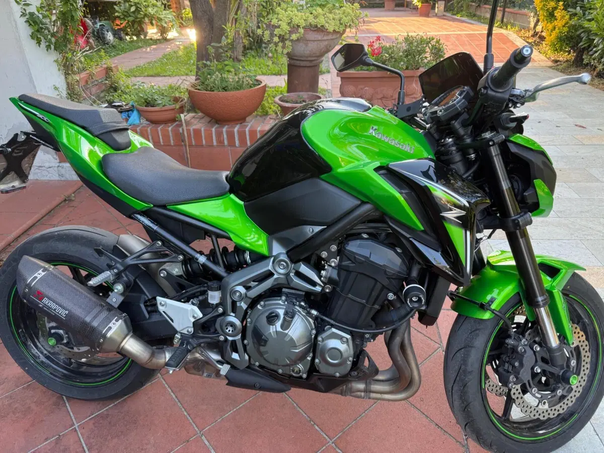 Kawasaki Z 900 (2017 - 18) (4)