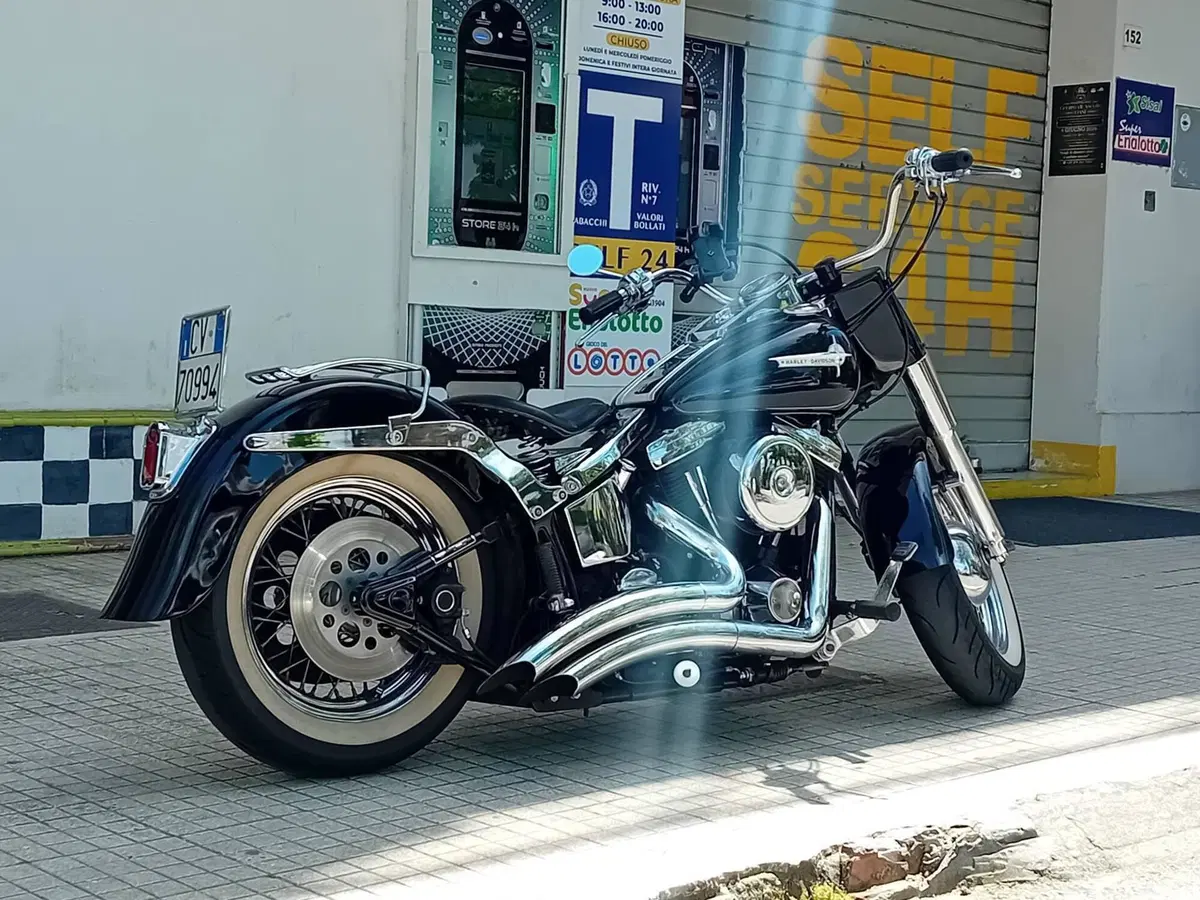 Harley-Davidson 1340 Heritage Classic (1984 - 98) - FLSTC (5)