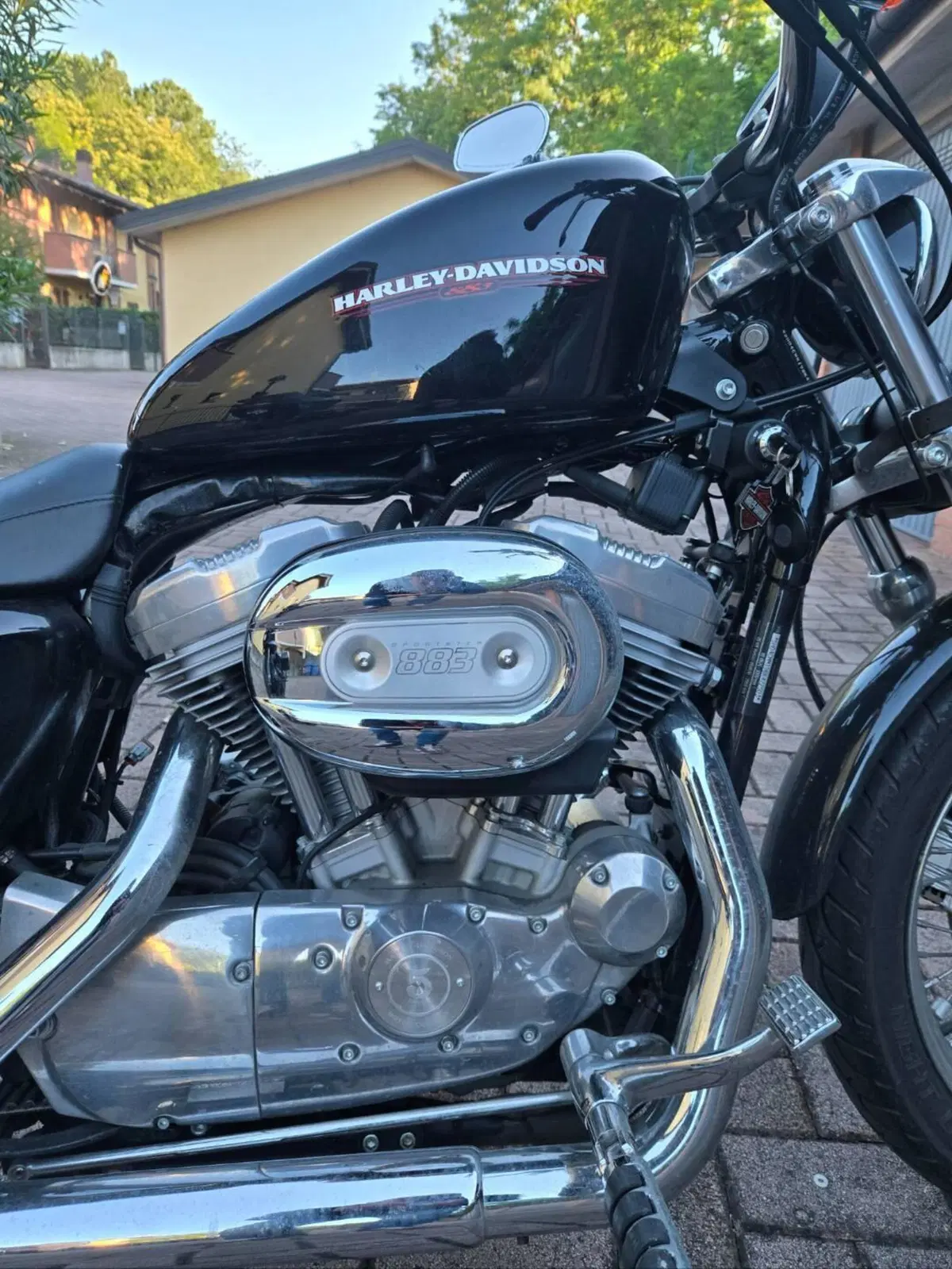 Harley-Davidson 883 (2006 - 07) - XL (2)