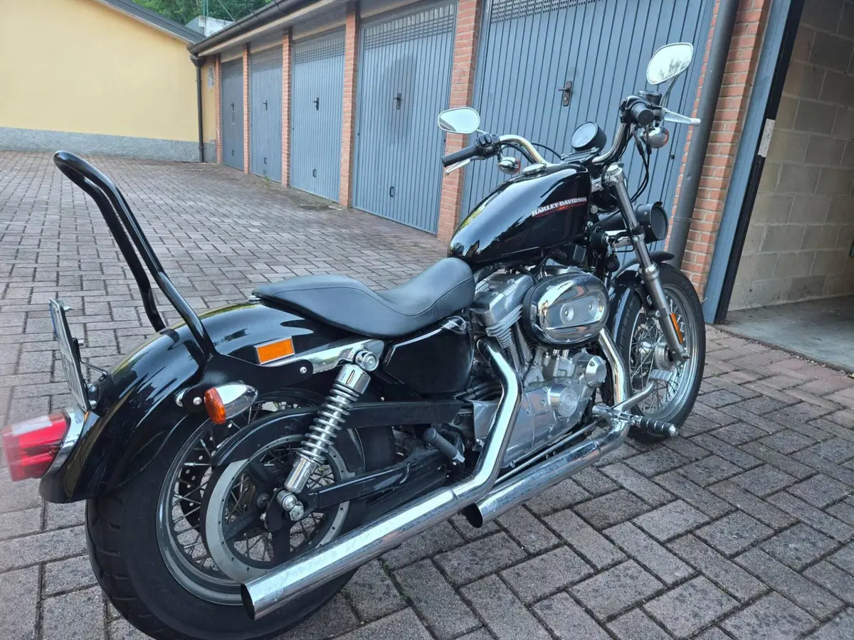 Harley-Davidson 883 (2006 - 07) - XL (4)