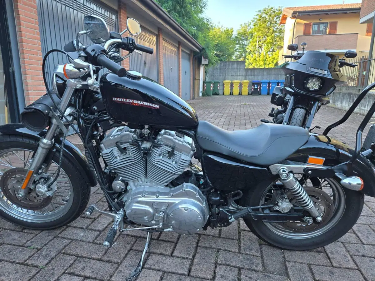 Harley-Davidson 883 (2006 - 07) - XL (5)