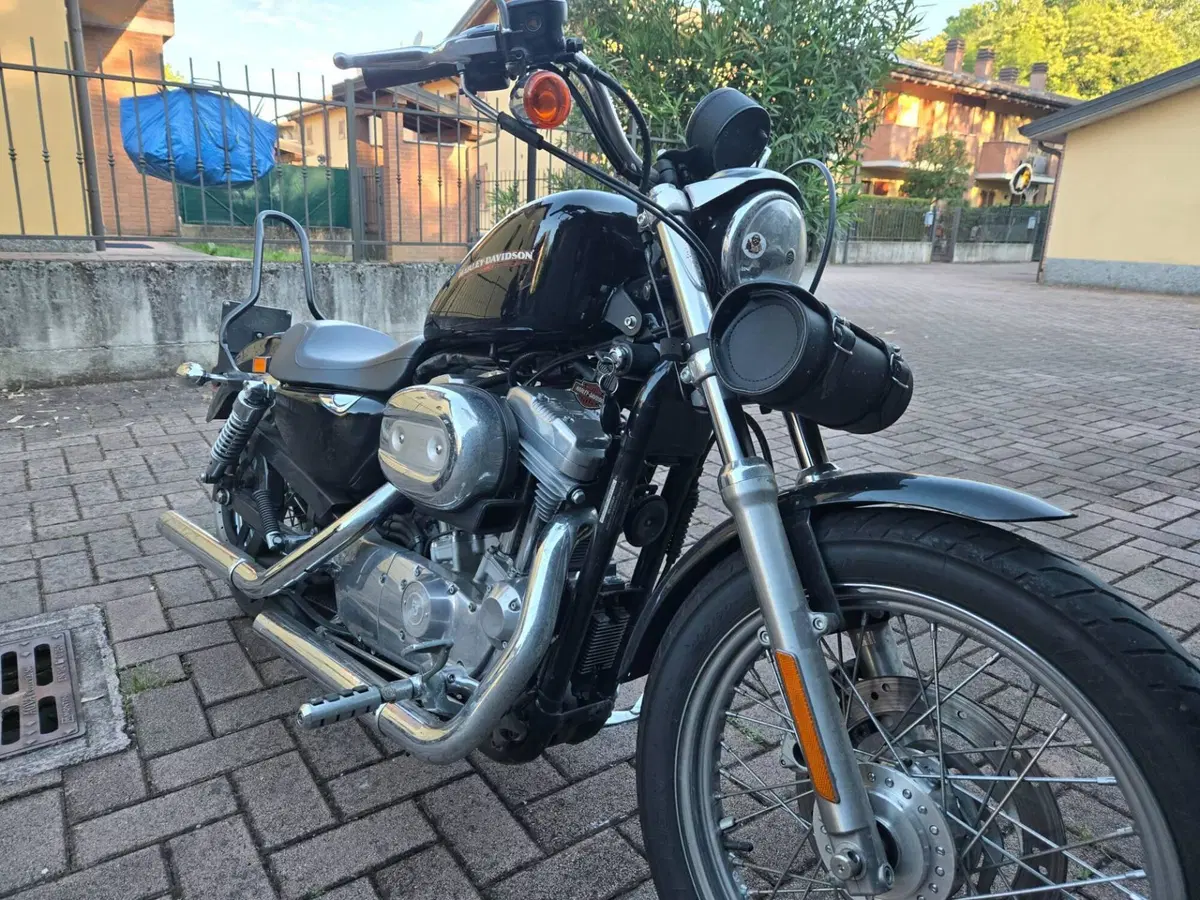 Harley-Davidson 883 (2006 - 07) - XL (6)