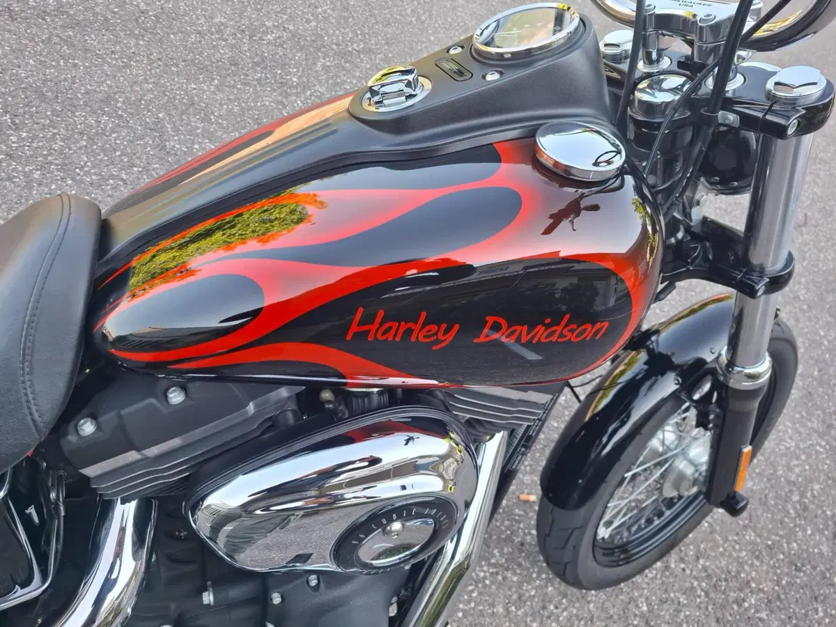 Harley-Davidson 1584 Street Bob (2008 - 15) - FXDB (4)