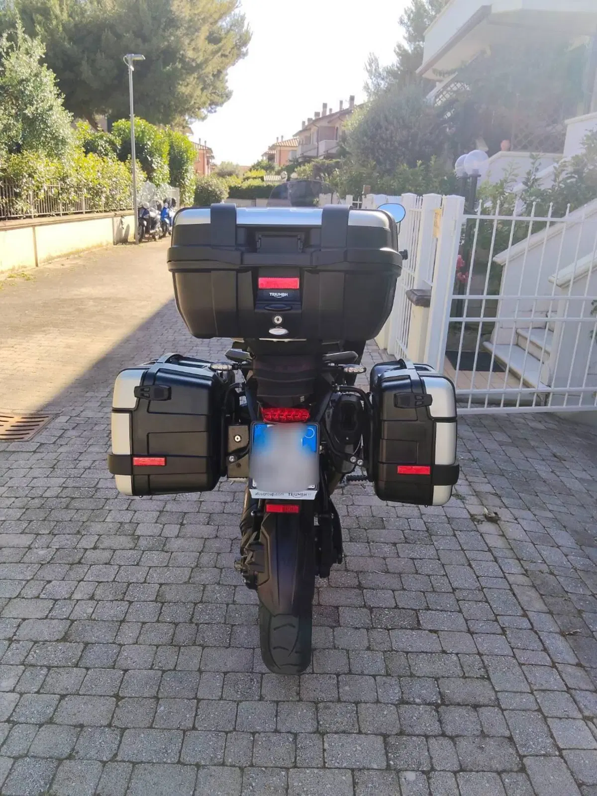 Triumph Tiger 1200 GT Pro (2022 - 23) (3)