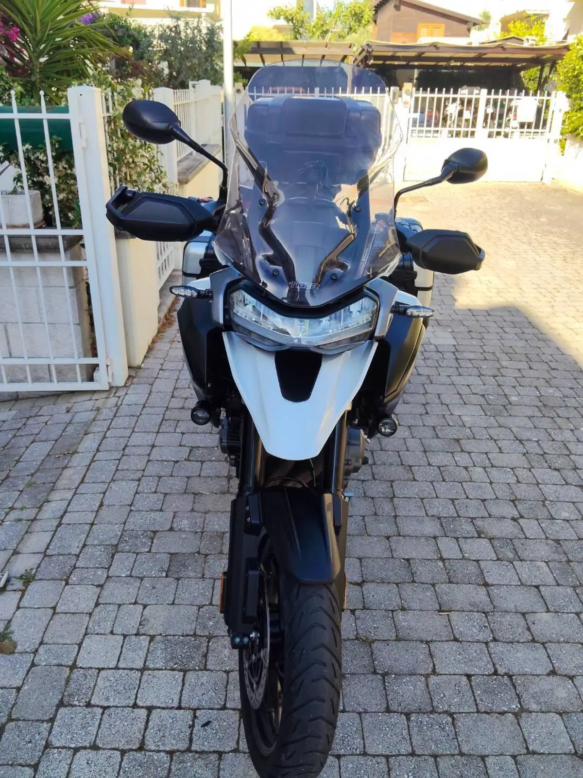 Triumph Tiger 1200 GT Pro (2022 - 23) (4)