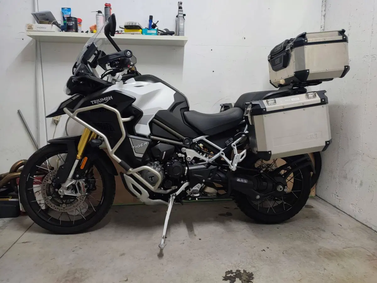 Triumph Tiger 1200 Rally Explorer (2022 - 23)