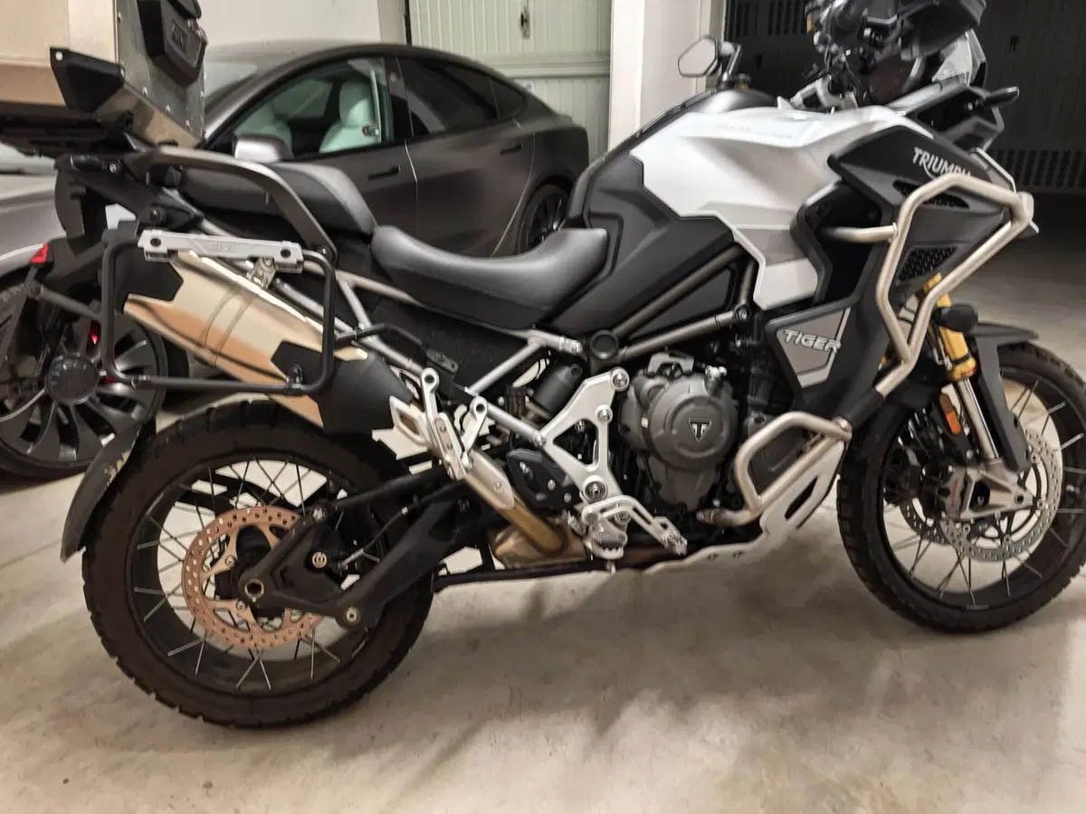 Triumph Tiger 1200 Rally Explorer (2022 - 23) (2)
