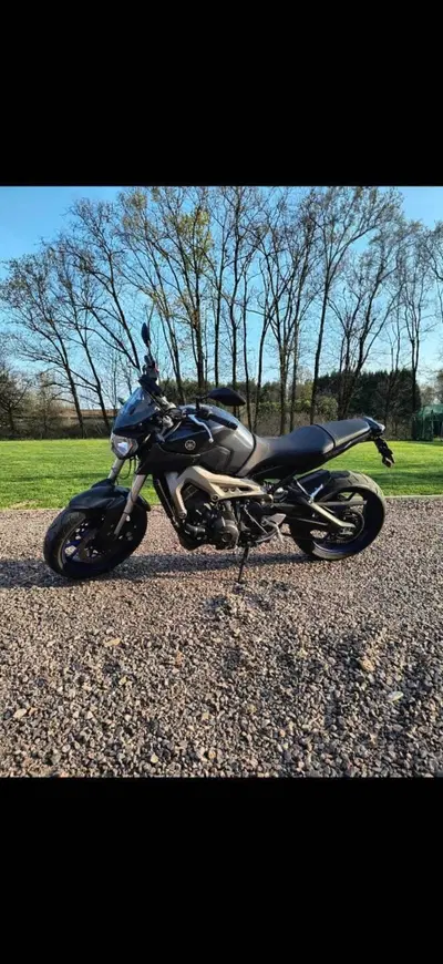 Yamaha MT-09 (2013 - 15) usata