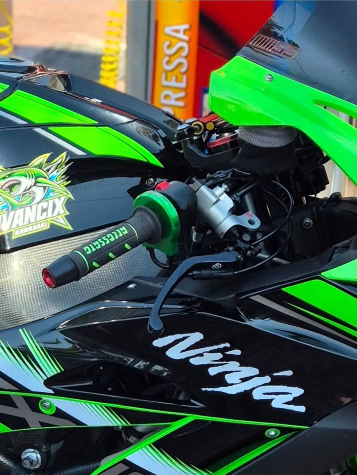 Kawasaki Ninja 1000 ZX-10R KRT Replica (2017 - 18) (3)