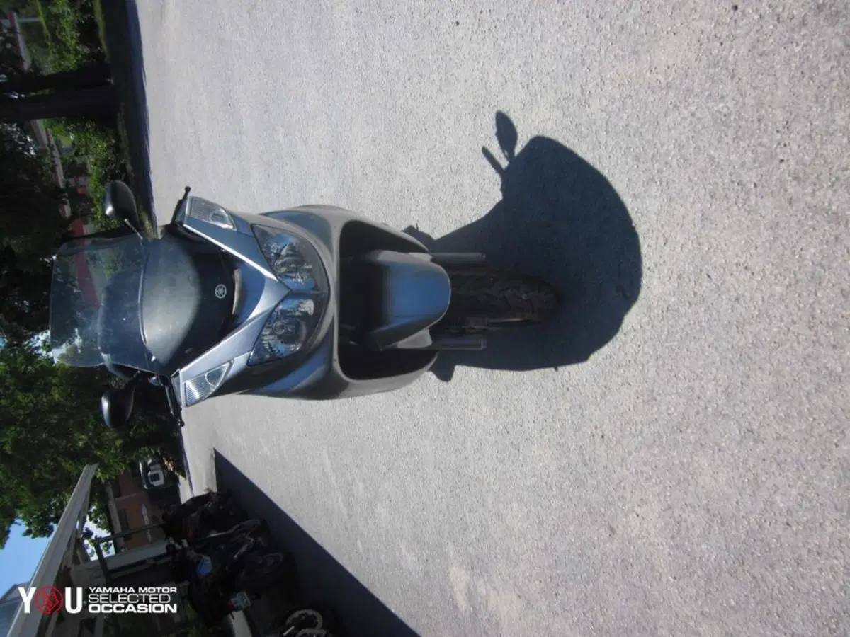 Yamaha Majesty 400 (2004 - 08) (5)