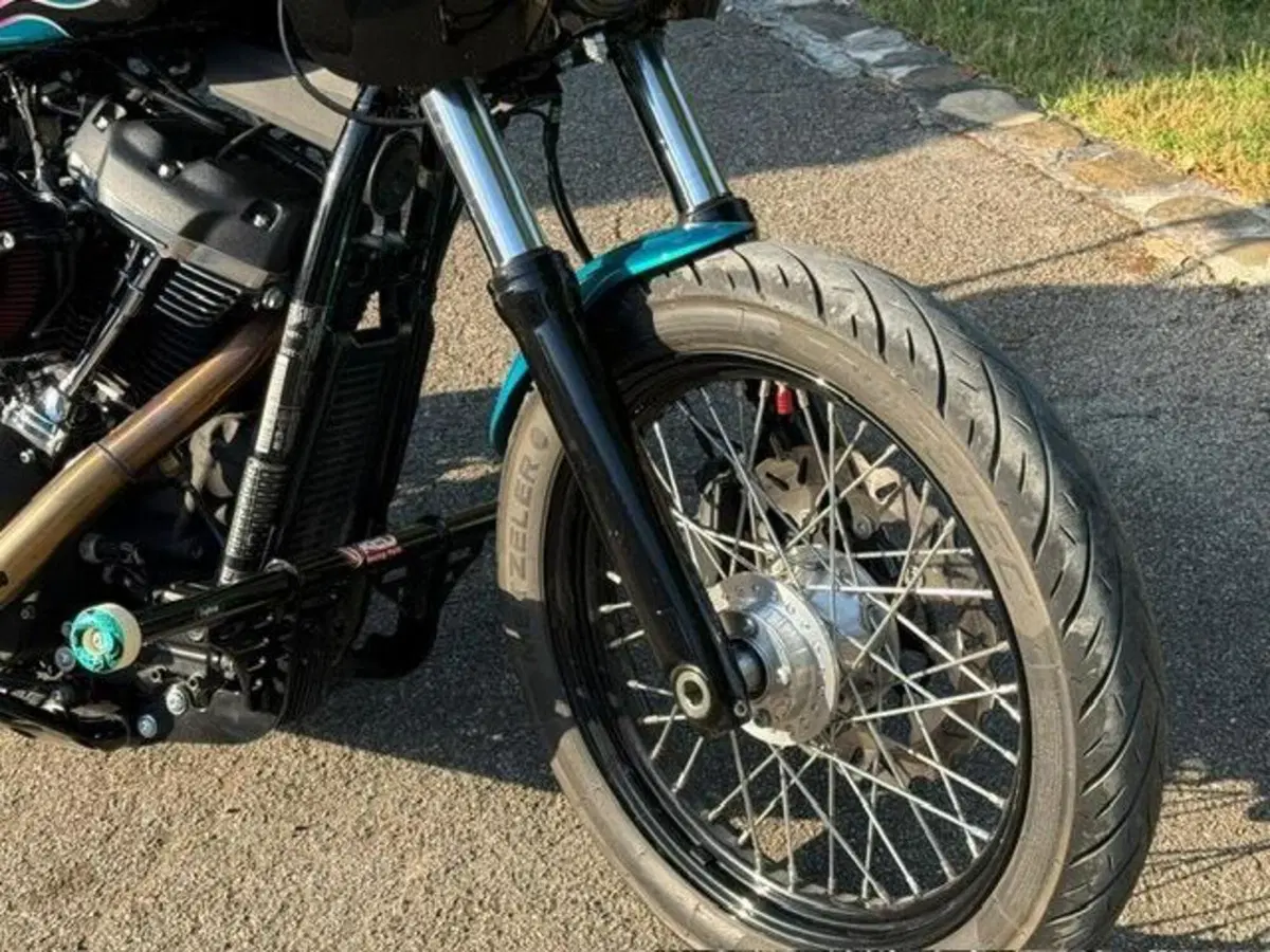 Harley-Davidson 107 Street Bob (2018 - 20) - FXBB (8)
