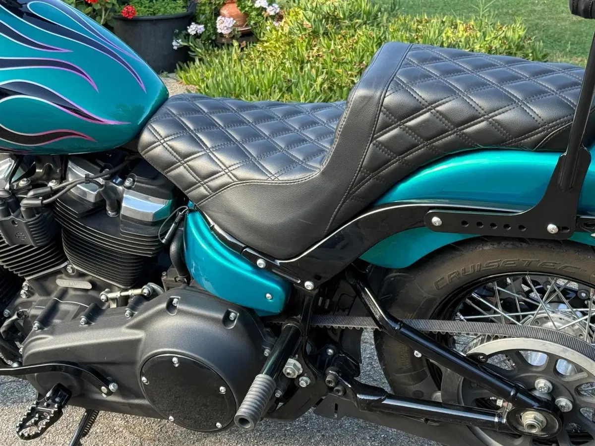 Harley-Davidson 107 Street Bob (2018 - 20) - FXBB (9)