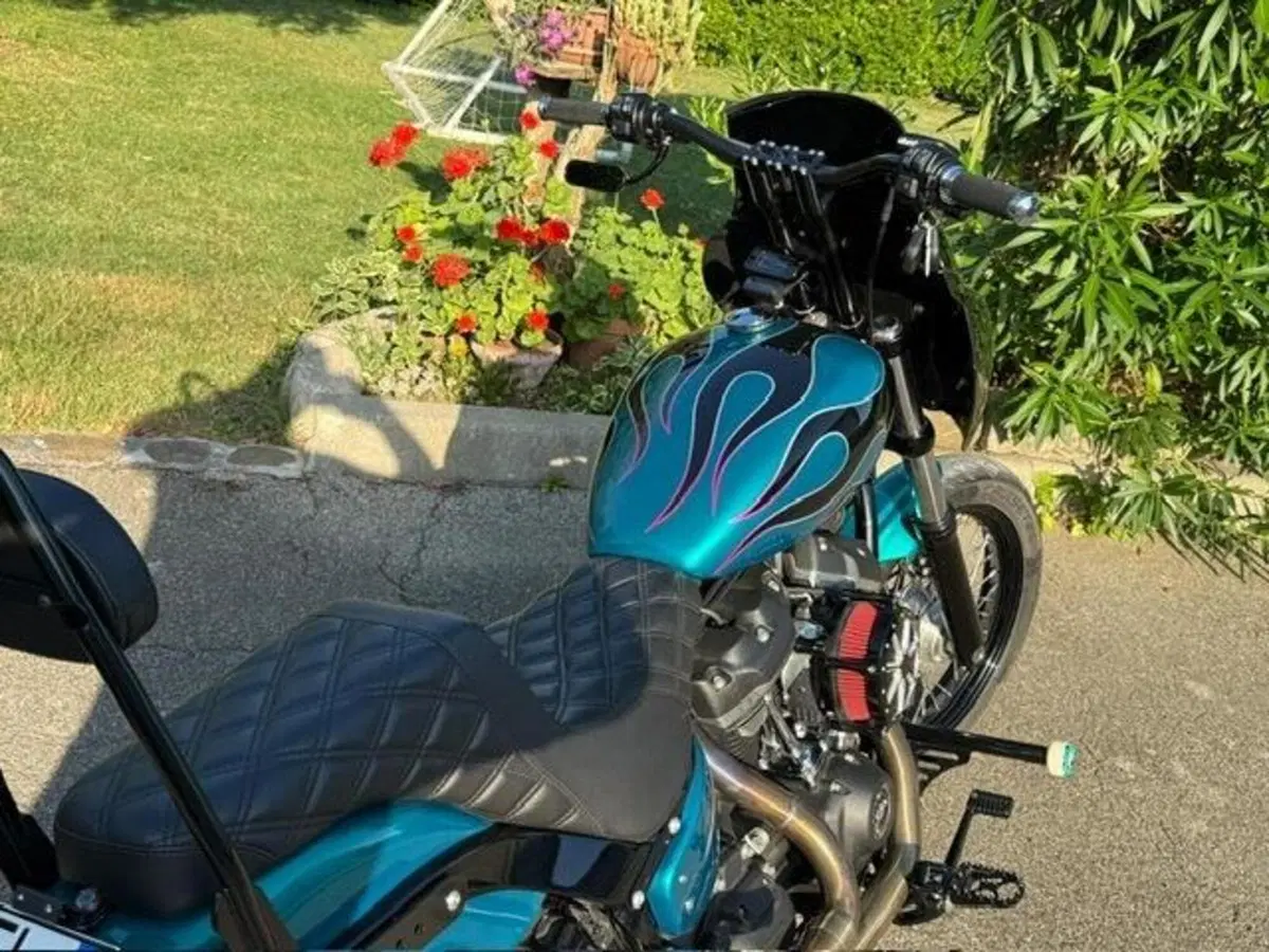 Harley-Davidson 107 Street Bob (2018 - 20) - FXBB (13)