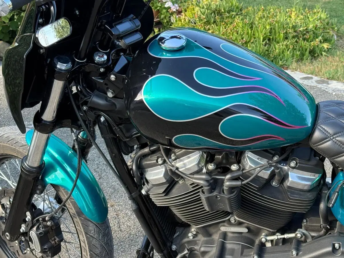 Harley-Davidson 107 Street Bob (2018 - 20) - FXBB (19)
