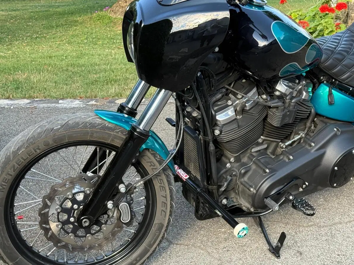 Harley-Davidson 107 Street Bob (2018 - 20) - FXBB (20)
