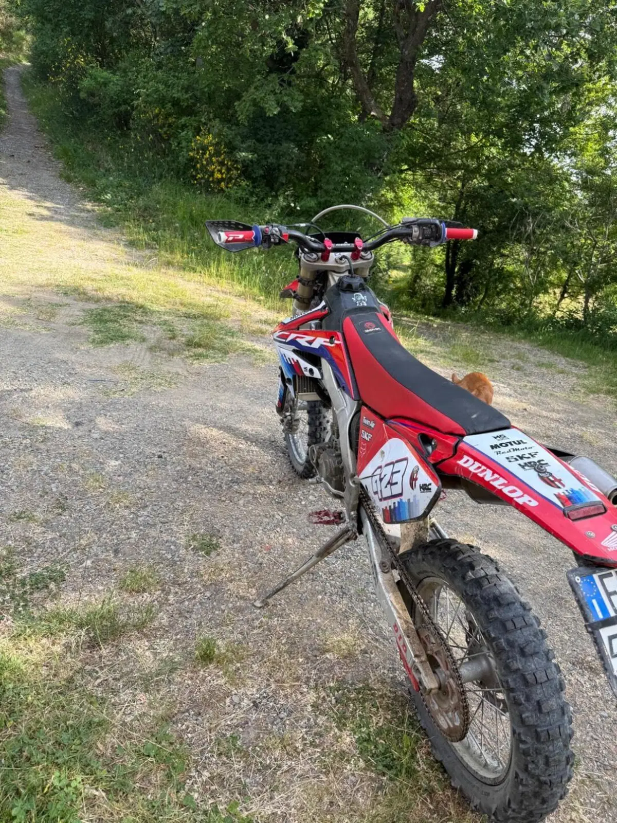 Honda CRF 250R (2008) (6)