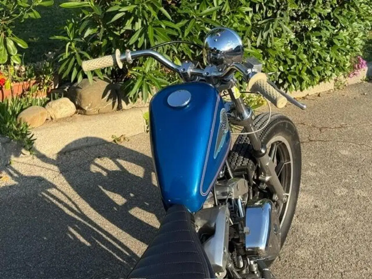 Harley-Davidson FXS 1200 Shovelhead (11)