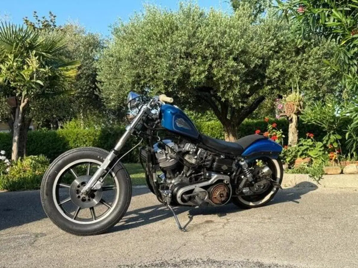Harley-Davidson FXS 1200 Shovelhead (15)