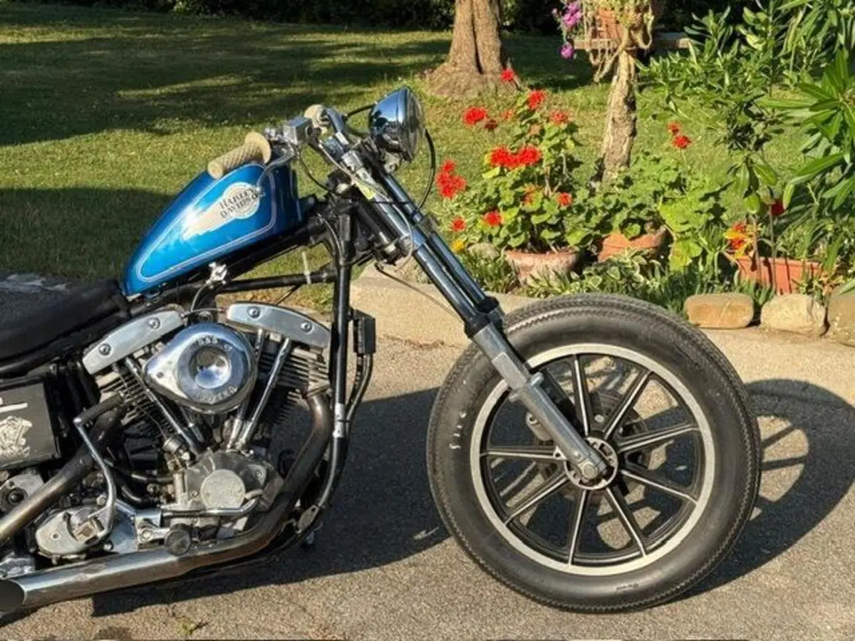 Harley-Davidson FXS 1200 Shovelhead (16)