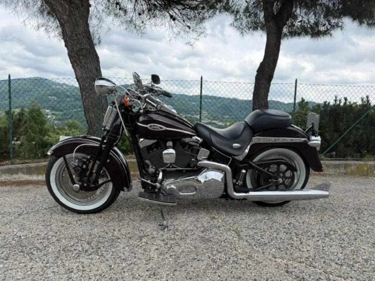 Harley-Davidson 1450 Springer Classic (2005) - FLSTSCI (2)