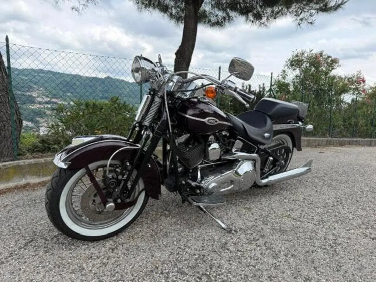 Harley-Davidson 1450 Springer Classic (2005) - FLSTSCI (3)