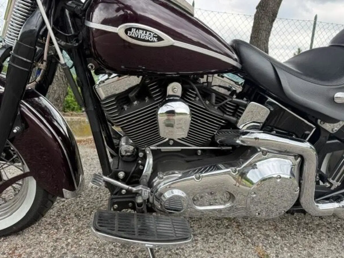 Harley-Davidson 1450 Springer Classic (2005) - FLSTSCI (4)