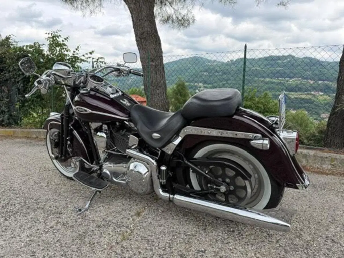 Harley-Davidson 1450 Springer Classic (2005) - FLSTSCI (6)