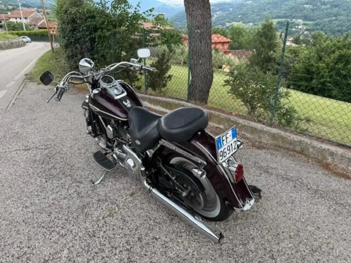 Harley-Davidson 1450 Springer Classic (2005) - FLSTSCI (7)