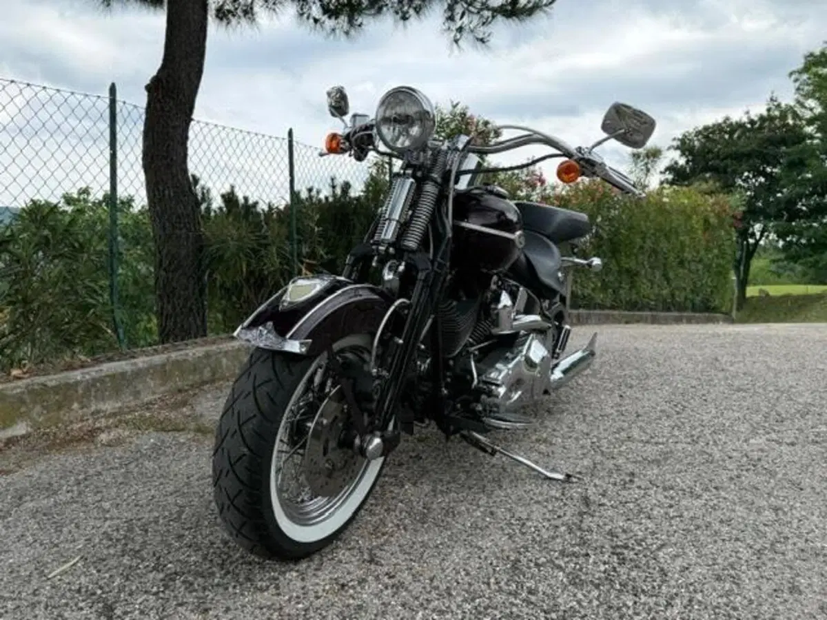 Harley-Davidson 1450 Springer Classic (2005) - FLSTSCI (8)