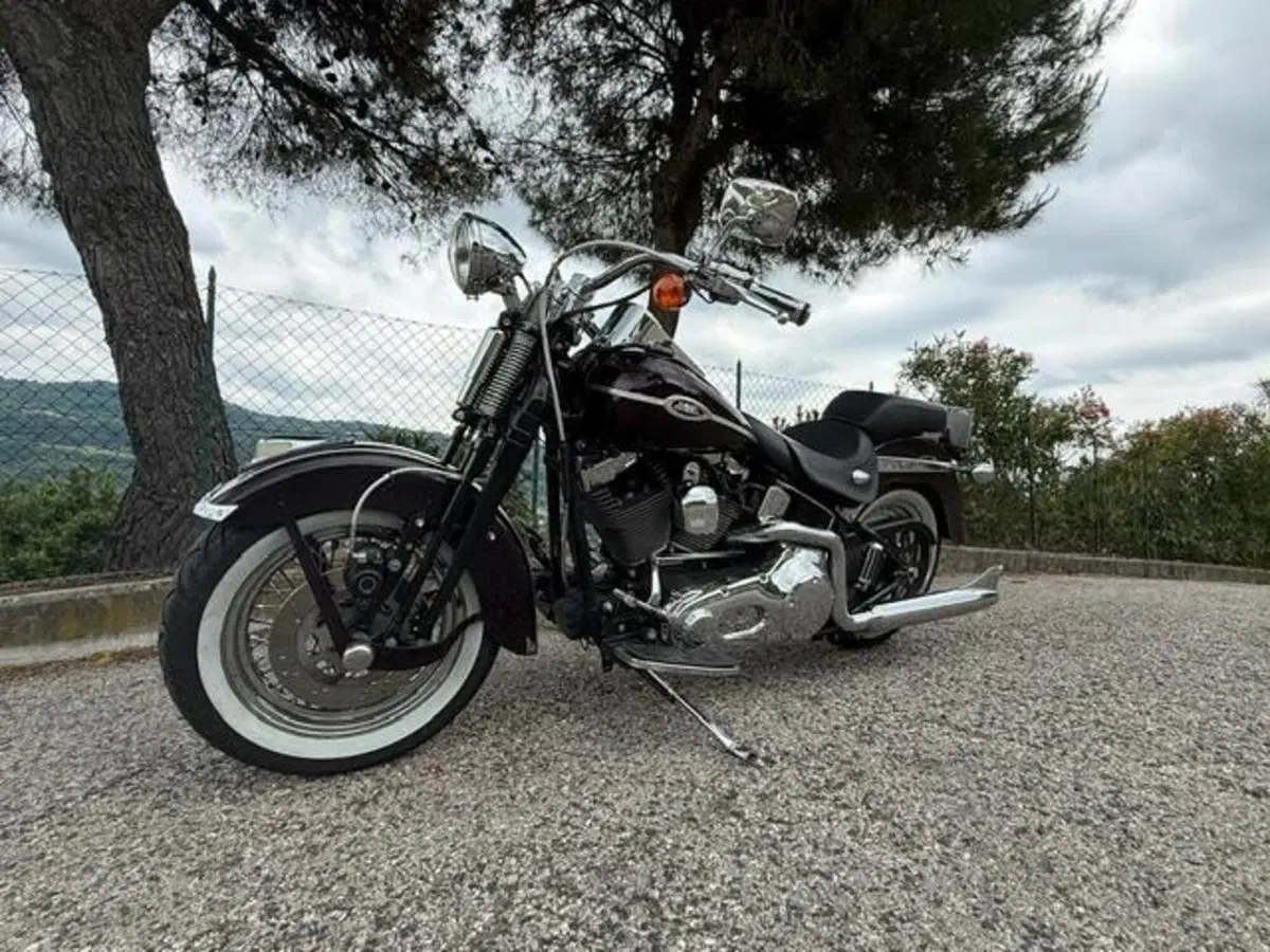 Harley-Davidson 1450 Springer Classic (2005) - FLSTSCI (9)
