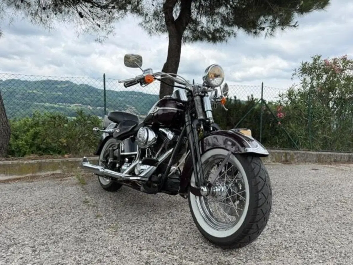 Harley-Davidson 1450 Springer Classic (2005) - FLSTSCI (10)