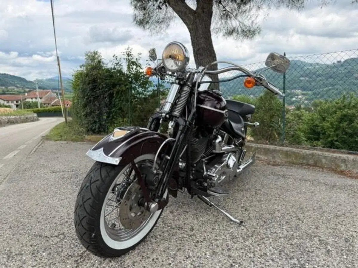 Harley-Davidson 1450 Springer Classic (2005) - FLSTSCI (11)
