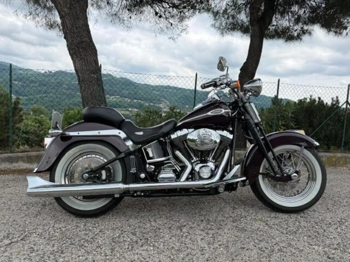 Harley-Davidson 1450 Springer Classic (2005) - FLSTSCI