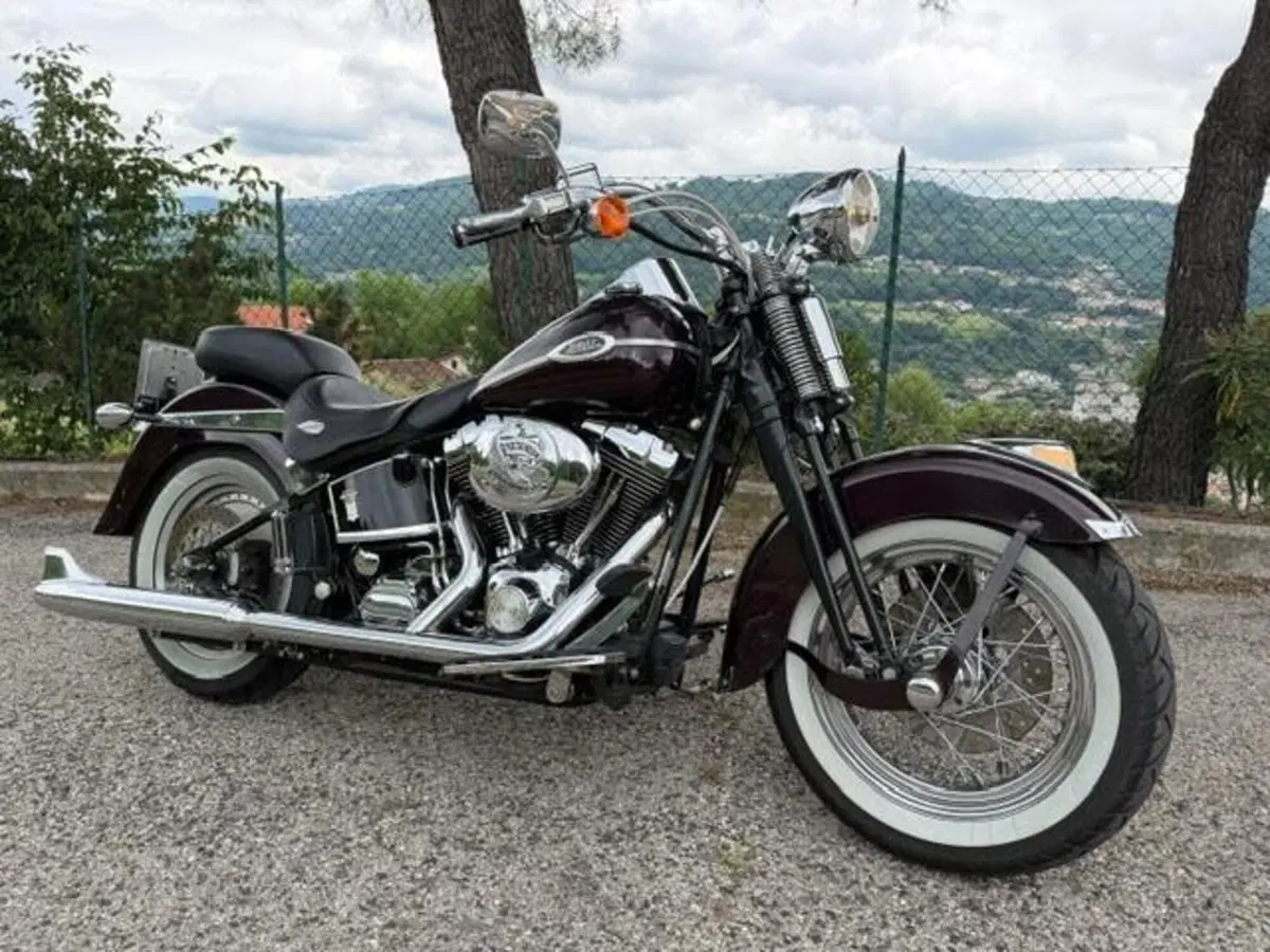 Harley-Davidson 1450 Springer Classic (2005) - FLSTSCI (14)