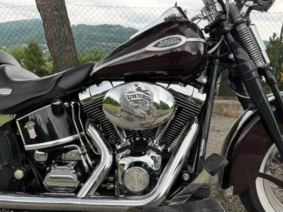 Harley-Davidson 1450 Springer Classic (2005) - FLSTSCI (15)