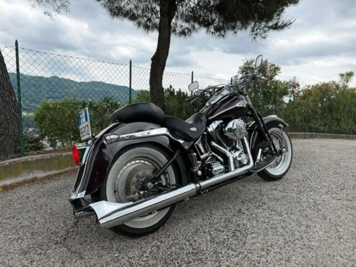 Harley-Davidson 1450 Springer Classic (2005) - FLSTSCI (16)
