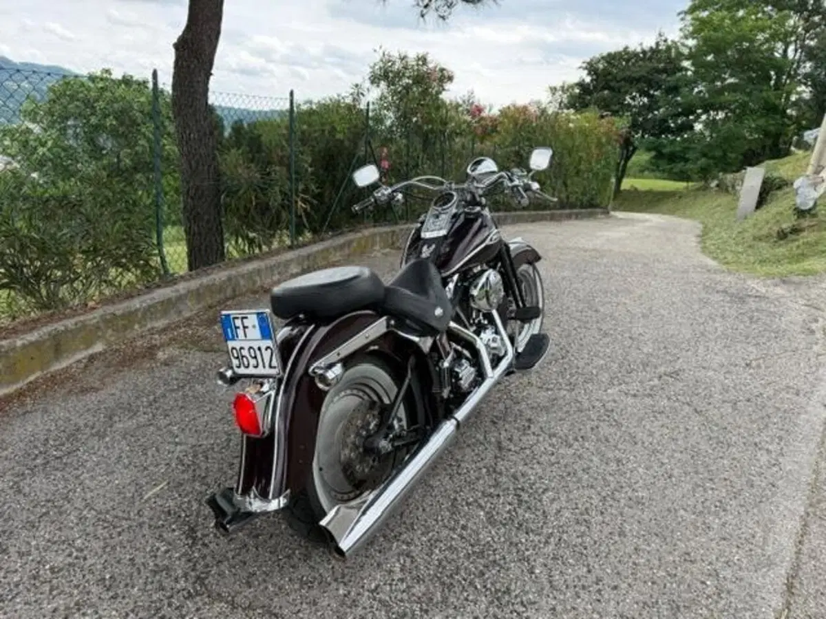 Harley-Davidson 1450 Springer Classic (2005) - FLSTSCI (17)