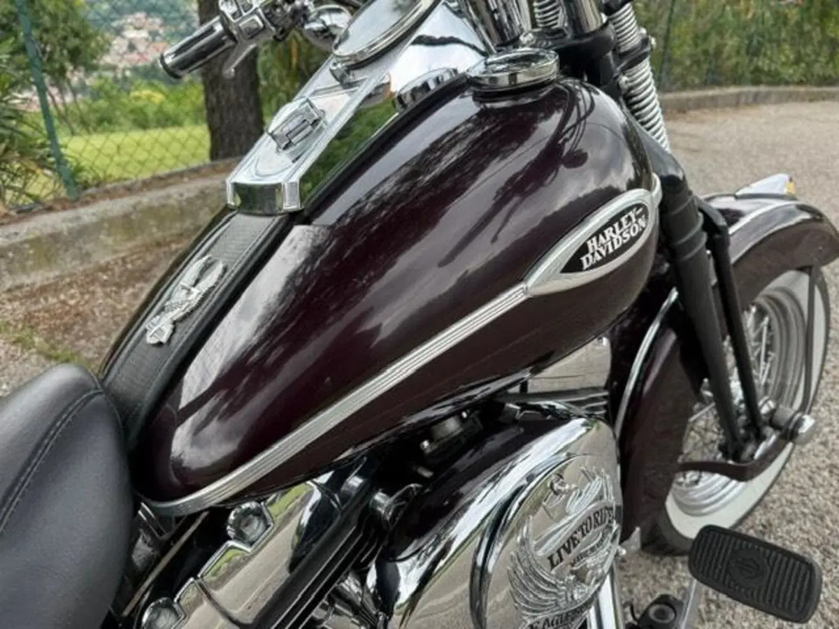 Harley-Davidson 1450 Springer Classic (2005) - FLSTSCI (18)