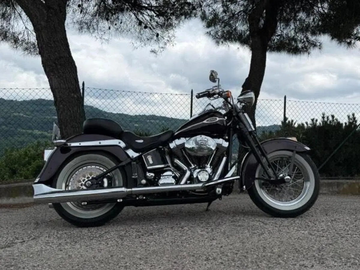 Harley-Davidson 1450 Springer Classic (2005) - FLSTSCI (19)