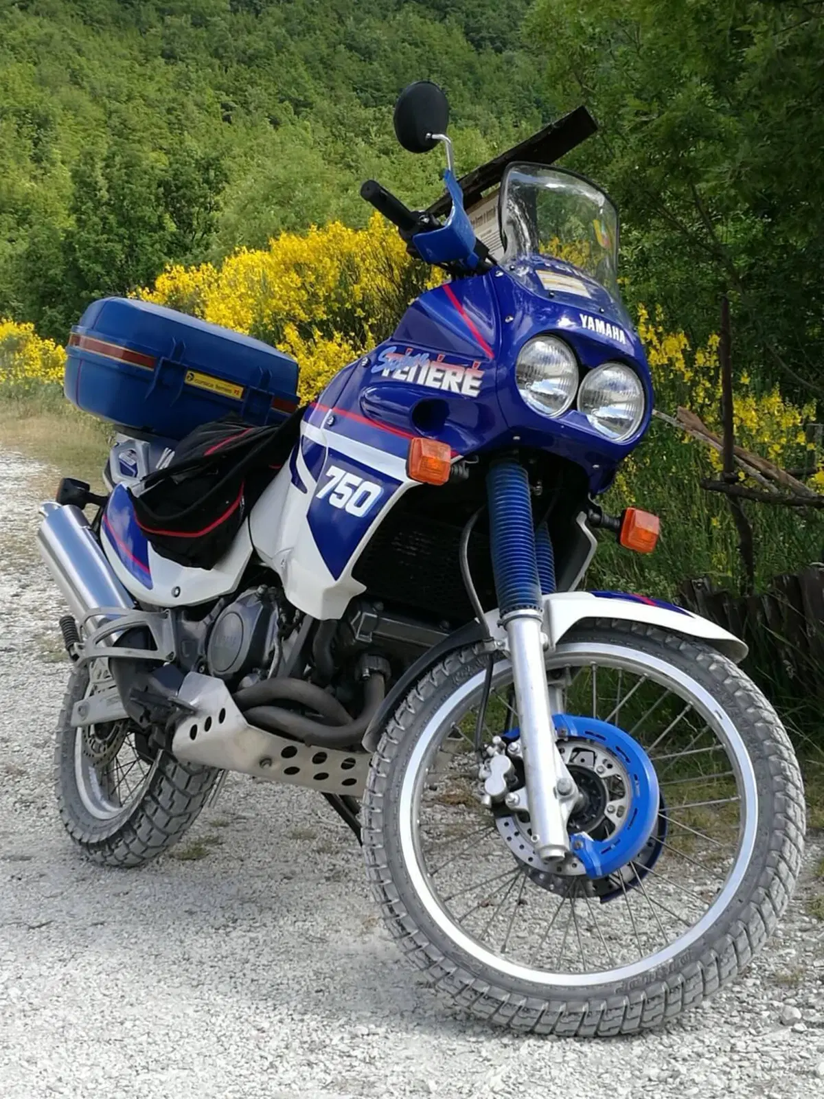 Yamaha xtz 750 (4)