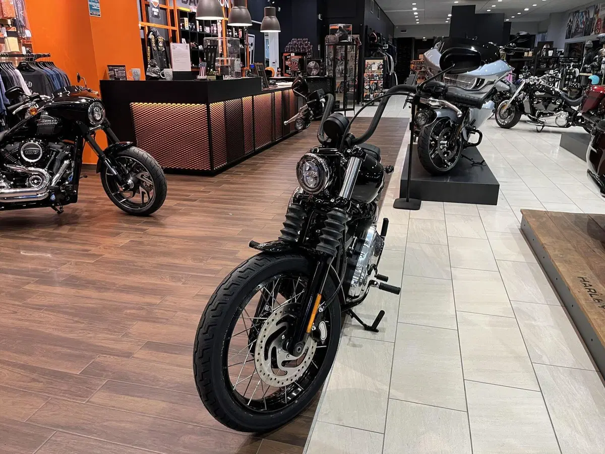 Harley-Davidson Street Bob 117 (2025 - 26) (6)