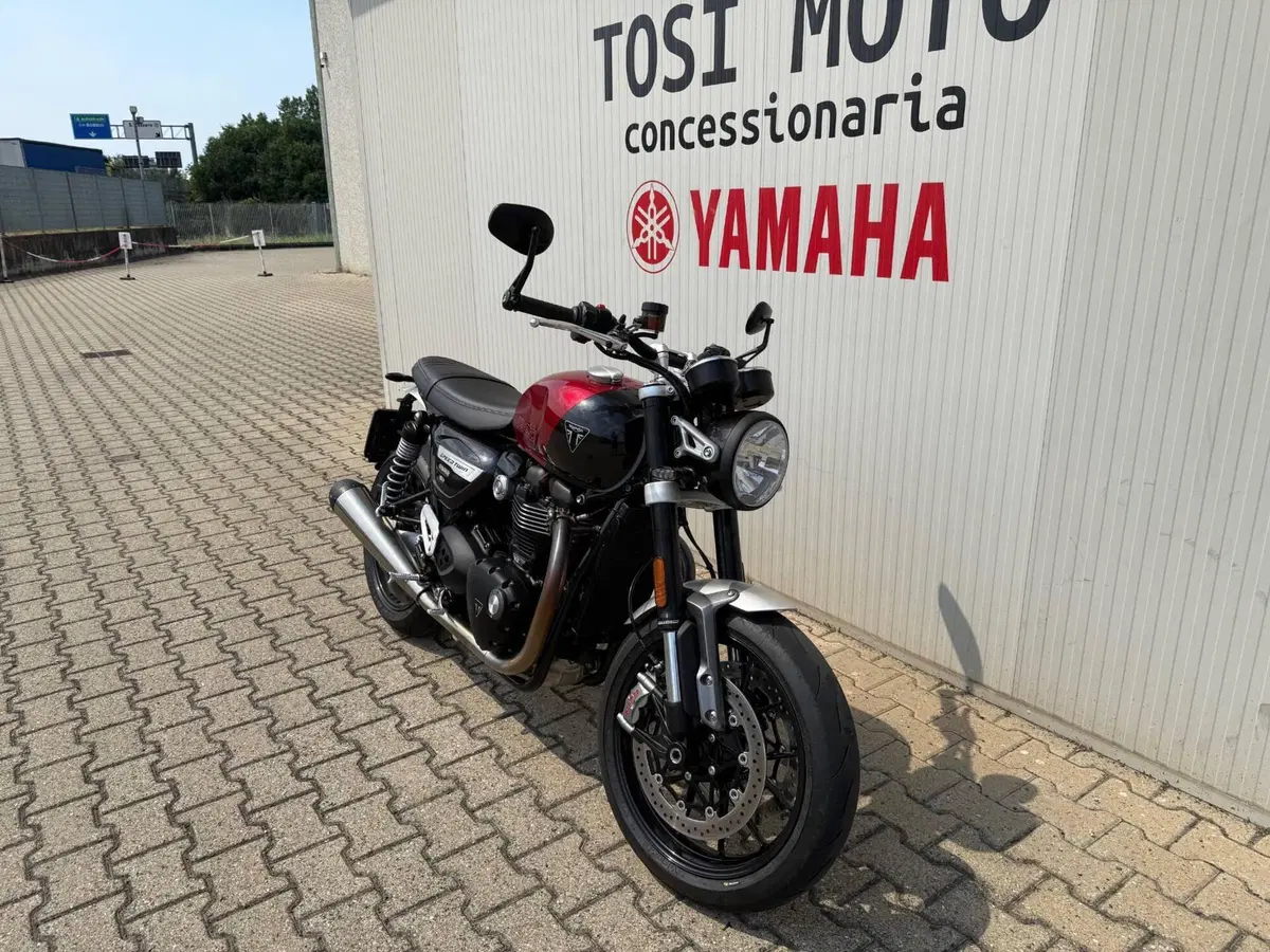 Triumph Speed Twin 1200 (2021 - 24) (7)