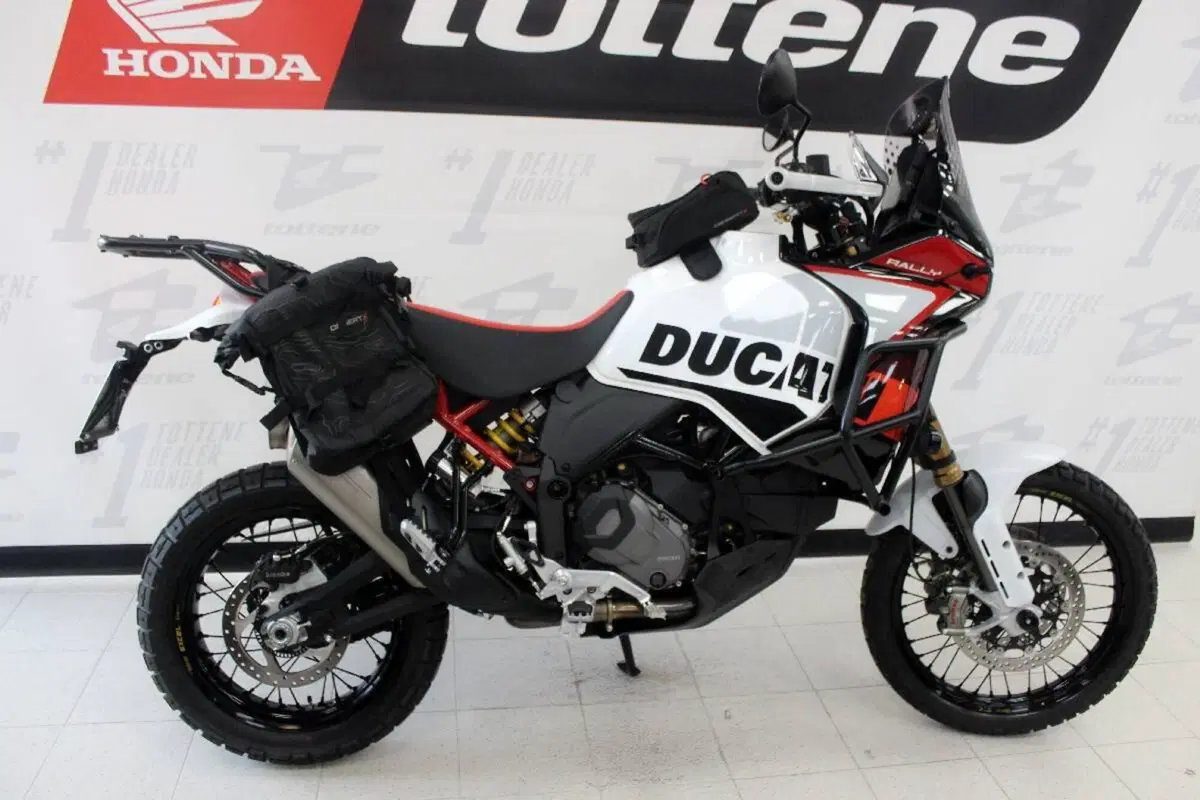 Ducati DesertX Rally (2024 - 25) (2)