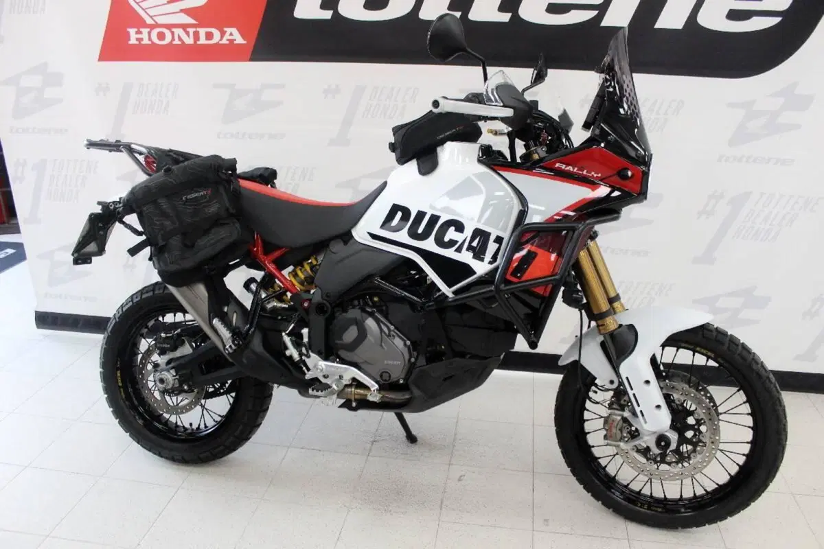 Ducati DesertX Rally (2024 - 25) (3)