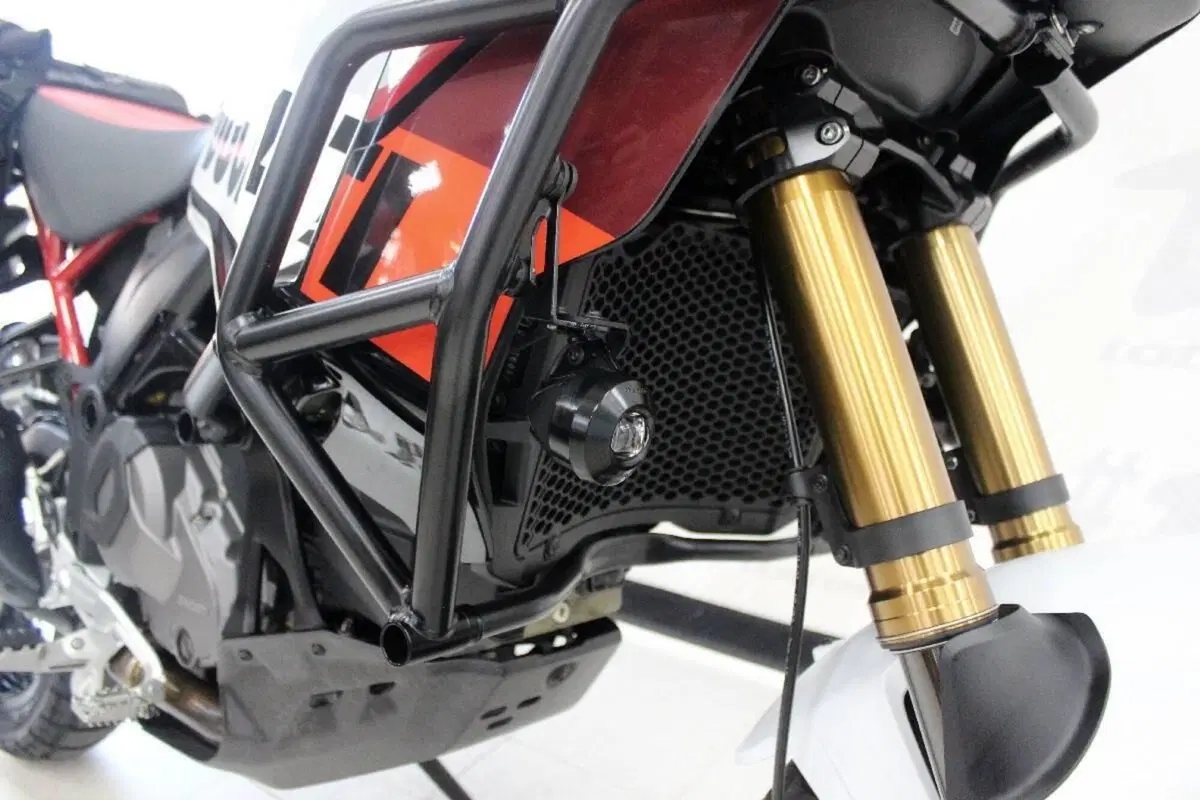 Ducati DesertX Rally (2024 - 25) (5)