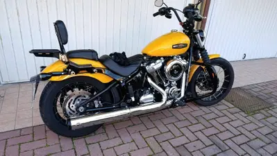 Harley-Davidson Street Bob 117 (2025 - 26) usata