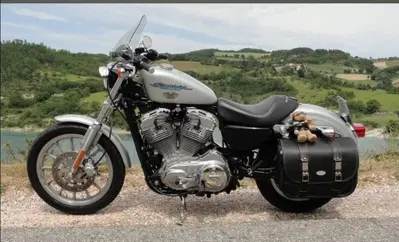 Harley-Davidson 883 Standard (2001 - 05) - XL 883 usata