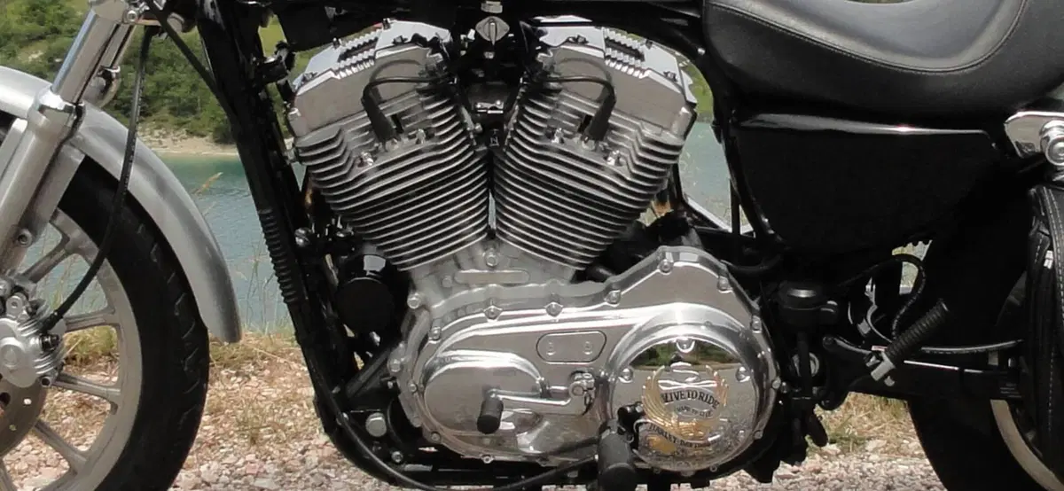 Harley-Davidson 883 Standard (2001 - 05) - XL 883 (2)