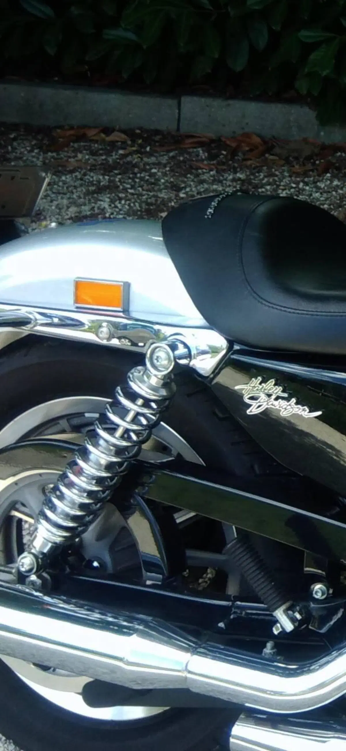 Harley-Davidson 883 Standard (2001 - 05) - XL 883 (4)