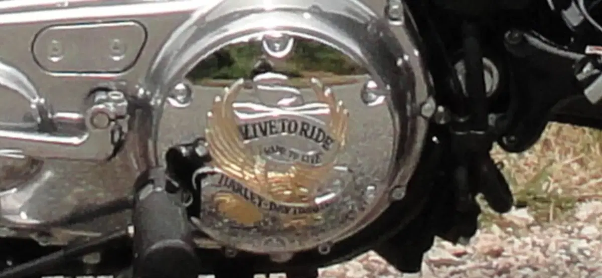 Harley-Davidson 883 Standard (2001 - 05) - XL 883 (8)